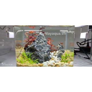 Sỏi 3 màu size to- Sỏi trải nền- -Sỏi thuỷ tinh-Sỏi trang trí bể chiết lẻ phù hợp cho bể