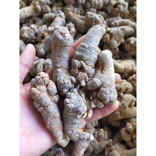 Củ Tam Thất Bắc Loại 1 Banapha
