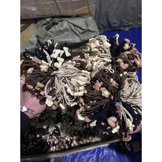 Combo 100 dây buộc tóc gấu mix mầu( sỉ 150k / 100 dây)