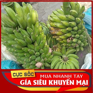 1kg Chuối Hột Tươi chuối hột già