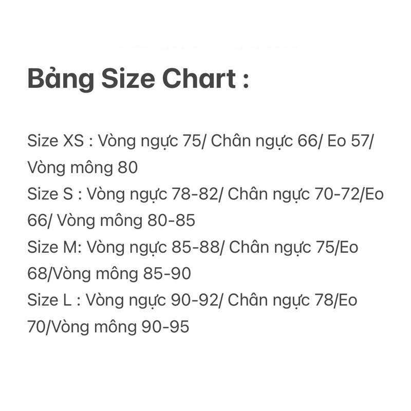 Áo bra ren thiết kế cao cấp có mút mỏng
