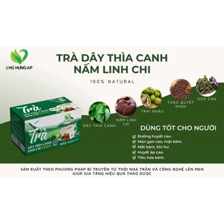 Trà dây thìa canh linh chi giúp ổn định đường huyết