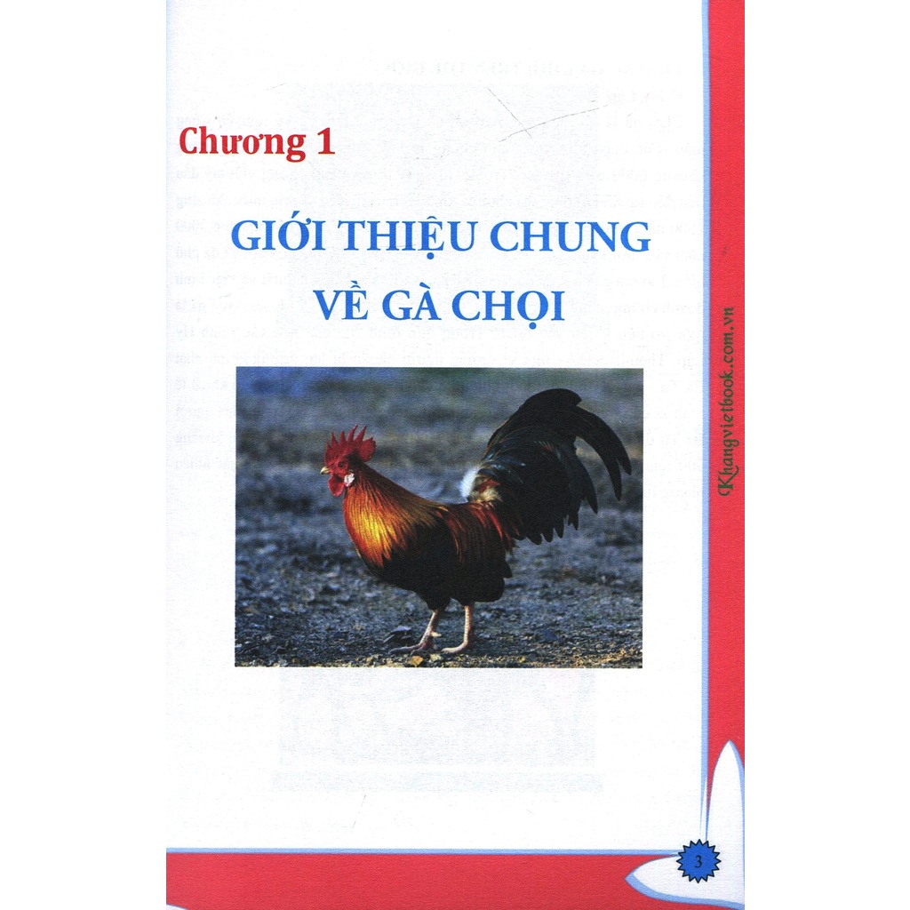 Sách - Bí Quyết Thành Công Kĩ Thuật Nuôi Gà Chọi Hiệu Quả