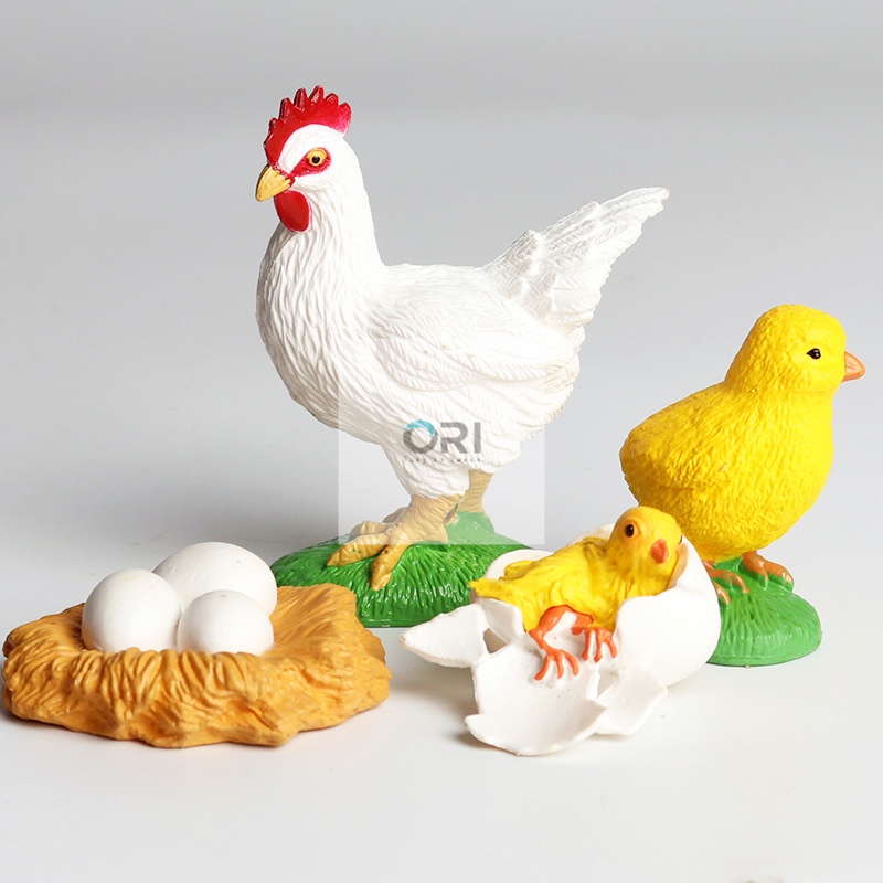 - Mô hình vòng đời của Gà -Học liệu Montessori - Chicken life cycle