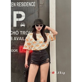 Áo phông gu chì das siu cấp