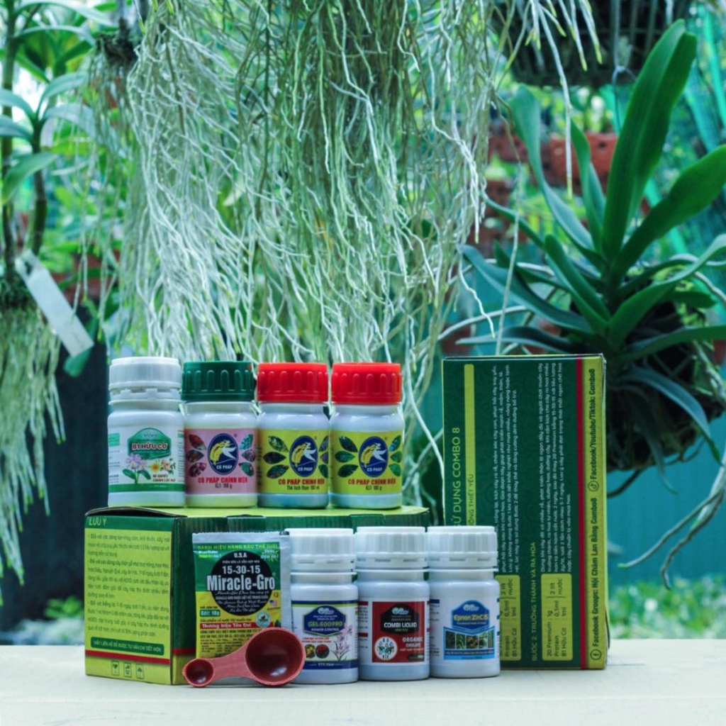 COMBO8 PREMIUM - chăm lan đơn giản theo cách chuyên nghiệp