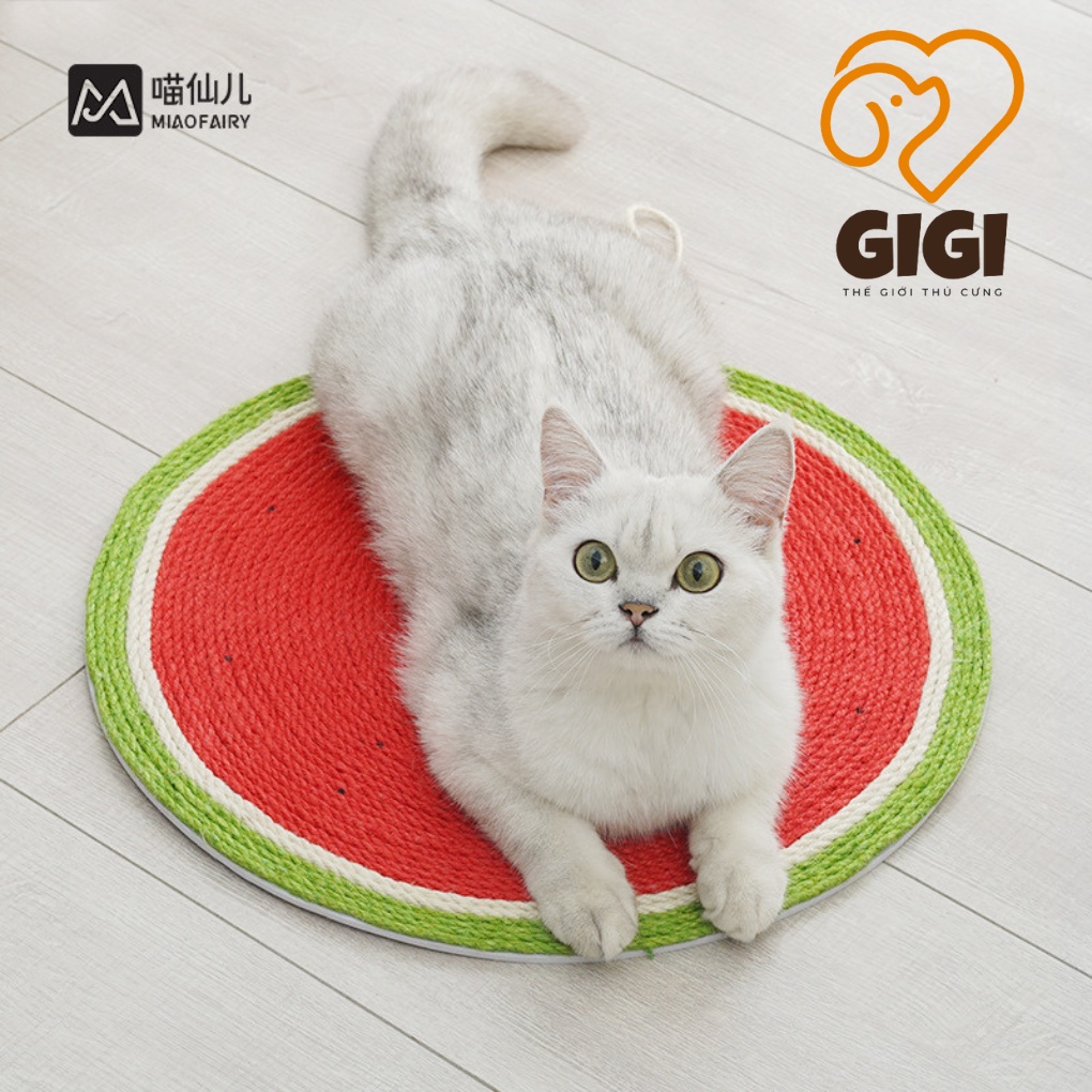 Bàn cào móng mèo hình tròn làm bằng chất liệu dây thừng phụ kiện cho thú cưng sạch móng giải trí - GiGi Pet Shop