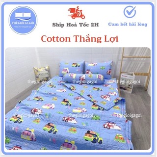 Bộ ga gối {4 món}100% Cotton chuẩn Logo Hoạ Tiết Hoạt Hình