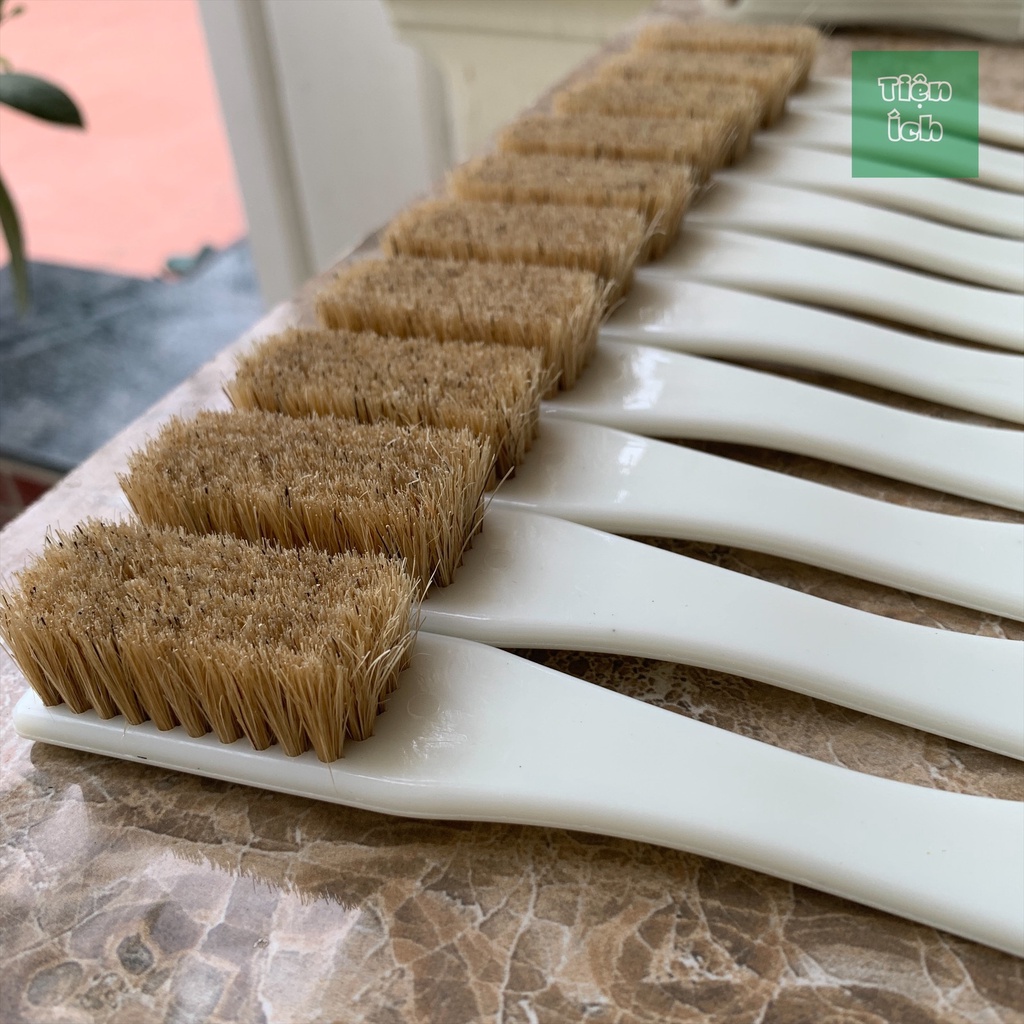 Bàn Chải Đánh Giày Lông Heo Cán Nhựa Dễ  Dàng Sử Dụng Vệ Sinh Giày Dép Ví Da