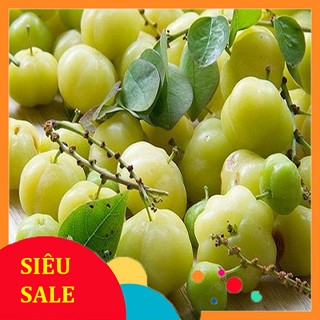 Trái Chùm Ruột tươi Oganic 1kg