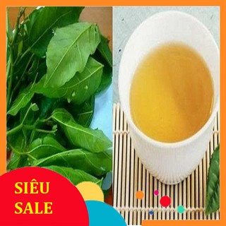 Lá Sung tươi (Lá Sung Nếp) 1kg