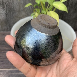 CHÉN CHỦ DU TRÍCH, KIẾN TRẢN 100ML