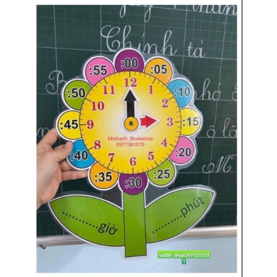 Cây hoa đồng hồ A3 Ép Plastic sẵn nam châm lá.............