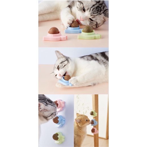 CATNIP DÁN TƯỜNG  - CỎ BẠC HÀ MÈO DÁN TƯỜNG ĐỒ CHƠI CHO MÈO GIÚP MÈO XẢ STRESS