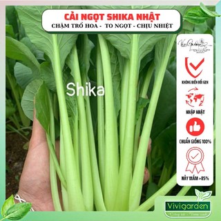 Gói 10gr (~3000) Hạt giống cải Nhật Shika giống F1 cực dễ trồng, tỷ lệ nảy mầm cao