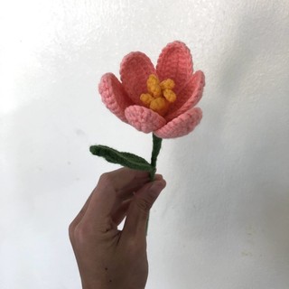 Hoa Tulip bằng len handmade