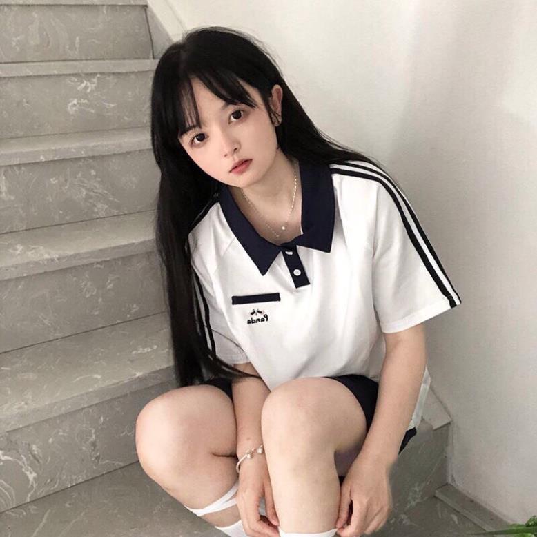 [Hàng Hot] Set Bộ Thể Thao Polo Chạy Sọc Thêu Hình Gấu Panda Xịn Sò Chất Cotton Mềm Mịn❣️