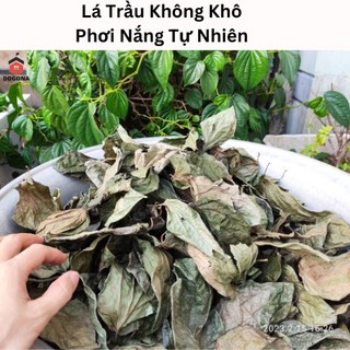 200gram lá trầu không khô - nhà phơi khô tự nhiên - 4kg lá trầu không tươi phơi được 1kg lá trầu không khô