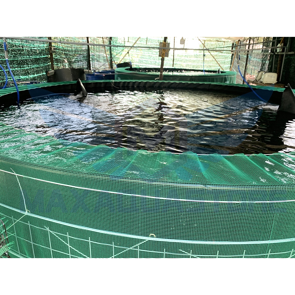 HỒ TRÒN HDPE NUÔI THUỶ SẢN ***GIA CÔNG SIZE THEO YÊU CẦU***