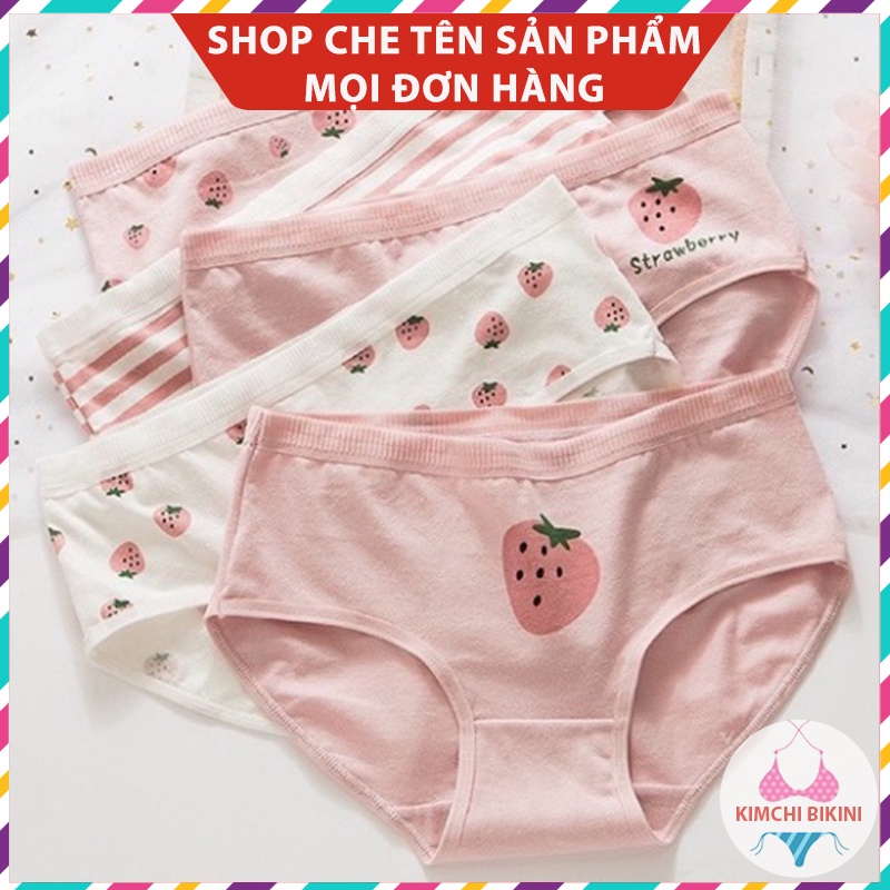 Quần nót nữ cotton cạp to dễ thương KIMCHIBIKINI quần chip nữ vải mềm in hình dễ thương QL028