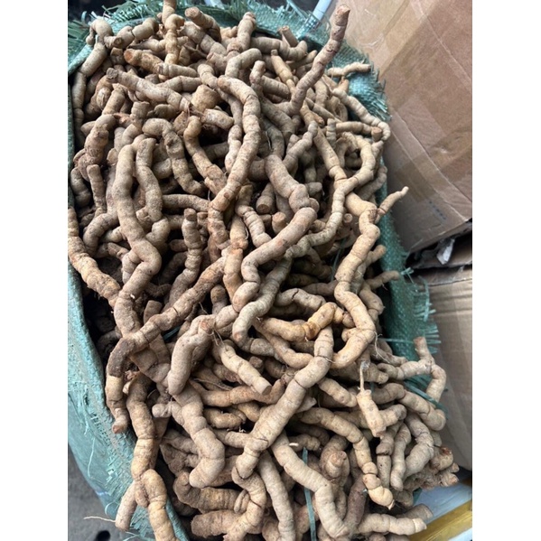 Ba kích tím Quảng Ninh  Hàng A1