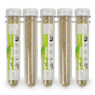 Cỏ mèo catnip cho mèo