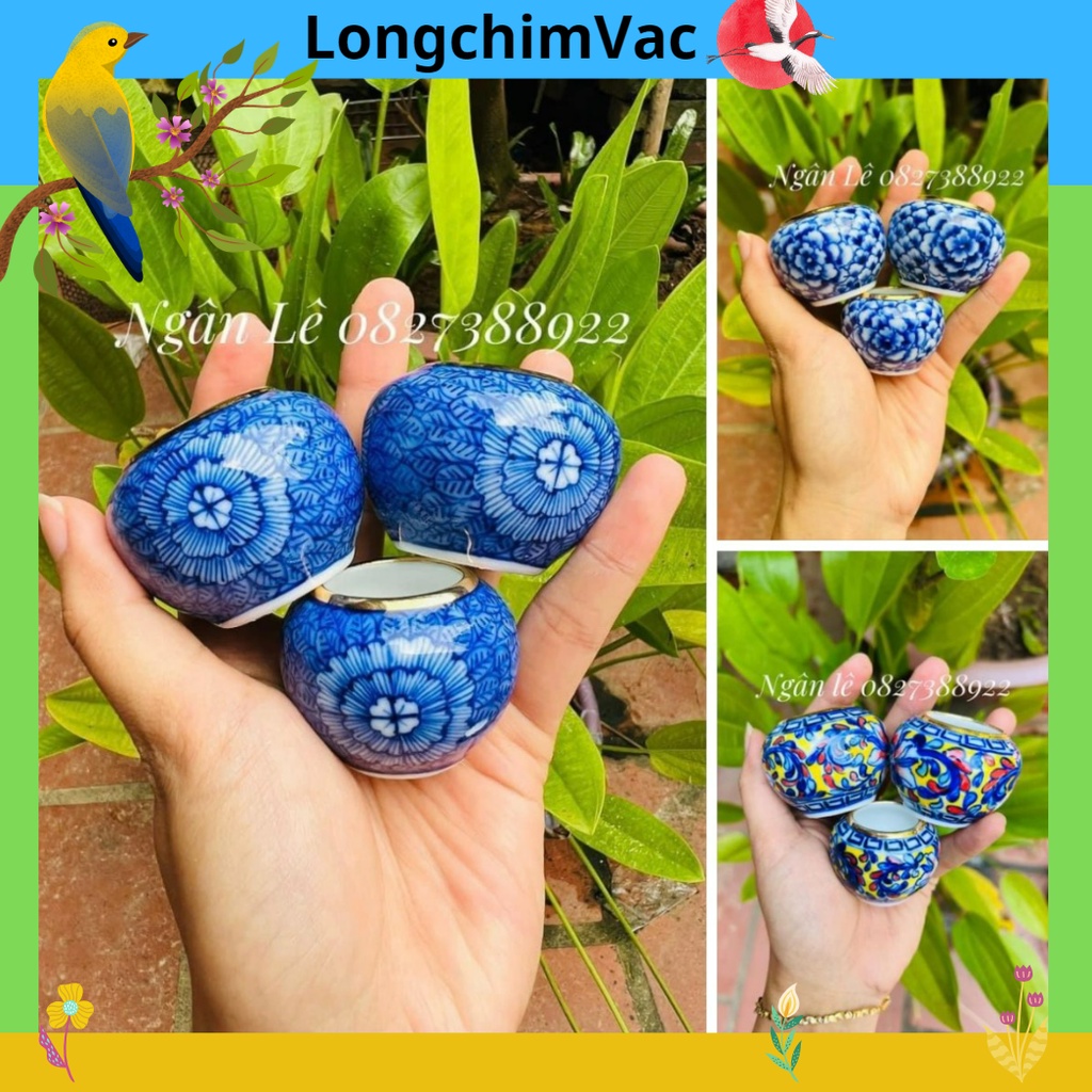 Cóng tự vẽ, cóng vẽ tay, cóng chào mào, cóng lồng vuông, cóng lồng khuyên, cóng sứ chào mào, cóng chim loại 1