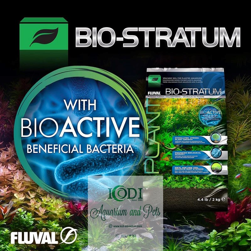Phân Nền Thủy Sinh FLUVAL Stratum và Bio Stratum