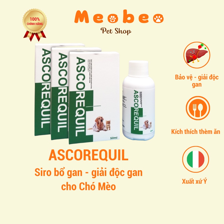 ASCOREQUIL CHAI GIẢI ĐỘC GAN VÀ PHỤC HỒI CHỨC NĂNG GAN HIỆU QUẢ CHO CHÓ MÈO KÍCH THÍCH THÈM ĂN