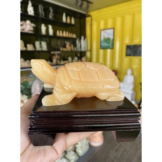 Rùa phong thuỷ - kim quy | tượng rùa mini để bàn may mắn tài lộc