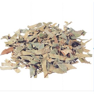 Tỳ bà diệp - lá tỳ bà