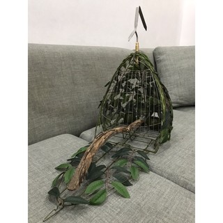 Lồng bẫy chim cu gáy