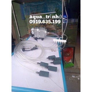 Combo máy sủi hailea aco-208 25w + dây sủi quả sủi khớp với các vòi