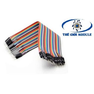 Dây bus, dây bẹ 2 đầu đực 20cm