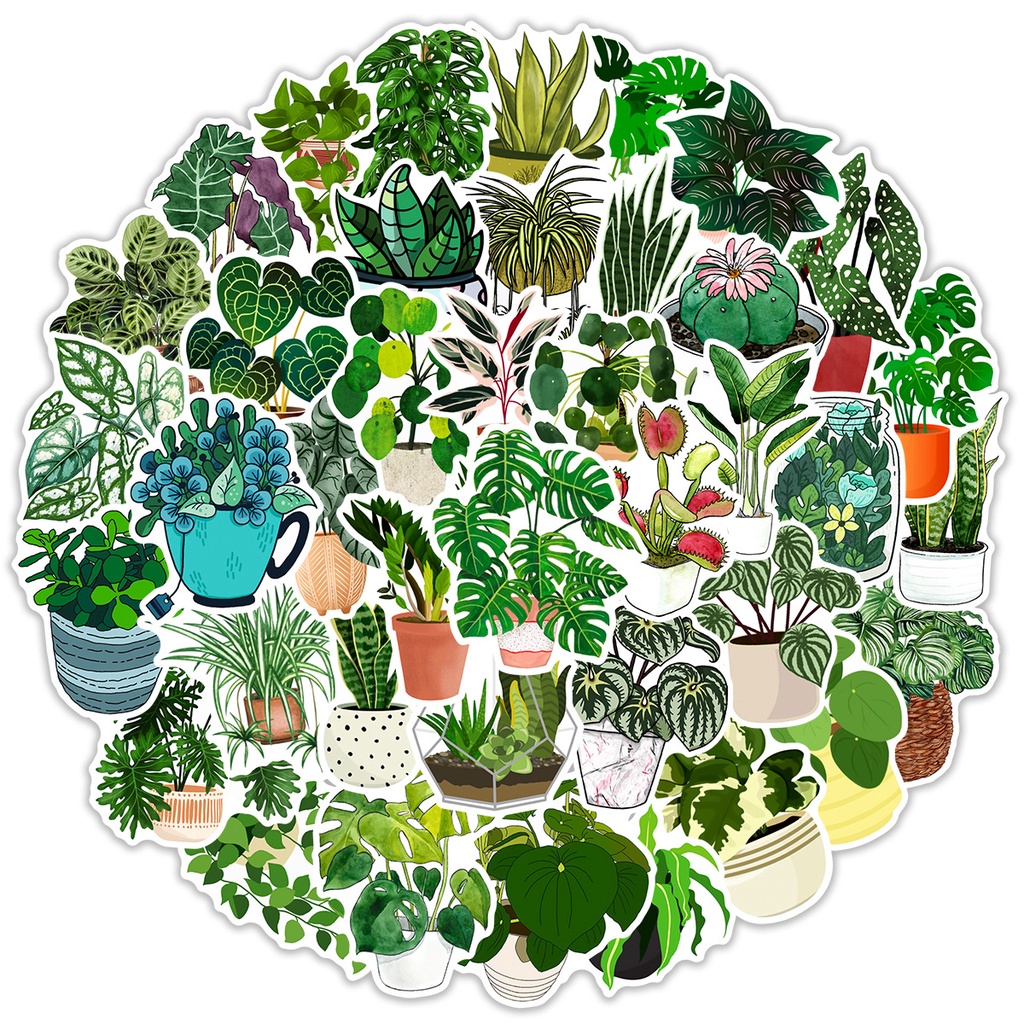 Sticker dán hình kiểng lá không thấm nước, sticker dán điện thoại hình kiểng lá monstera, philodendron, anthurium