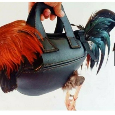 Thú bông 3D cao cấp - GÀ ĐÁ - GÀ TẬP LỰC 🐓