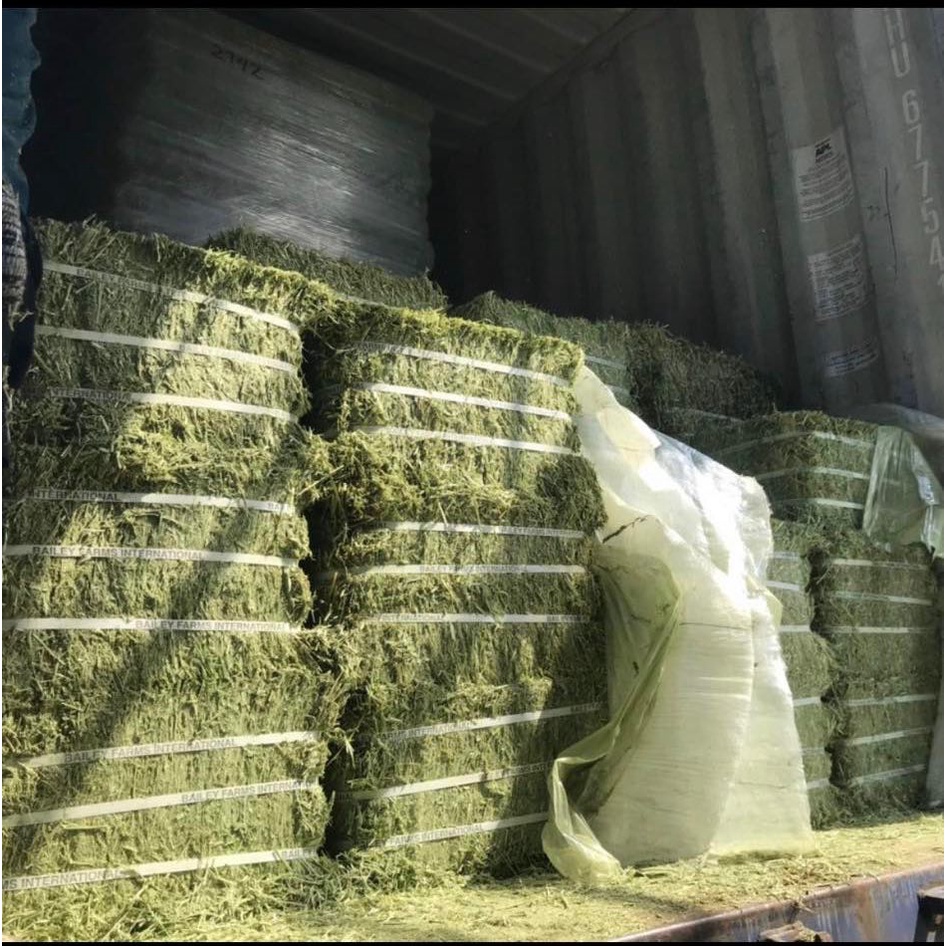 3 ký Cỏ Timothy cho thỏ,bọ ú trên 6 tháng tuổi .