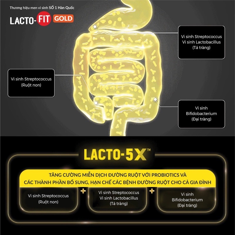Men Tiêu Hóa Dành Cho Người Lớn Và Trẻ Em LACTO-FIT Probiotics GOLD, men vi sinh hỗ trợ tiêu hóa