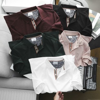 Áo Thun POLO B.R Họa Tiết Chất Vải Thun 100% Cotton, Áo Thun POLO Cao Cấp Thoáng Mát, Chuẩn Form, Sang Trọng - TAKEPLACE