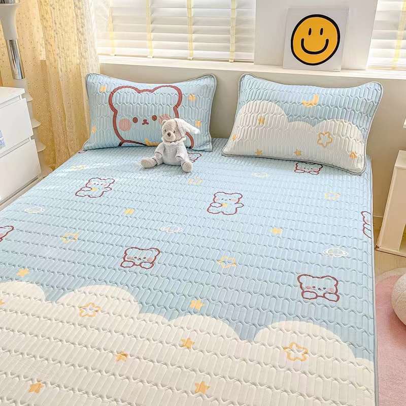 Chiếu cao su non 5d túi rút dây trần dài,chiếu điều hòa mát lạnh dành cho mùa hè mùa hè