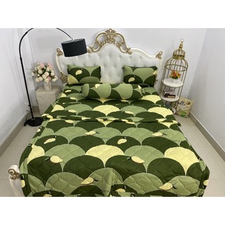 Bộ drap kèm mền thun lạnh hàn quốc 5 món