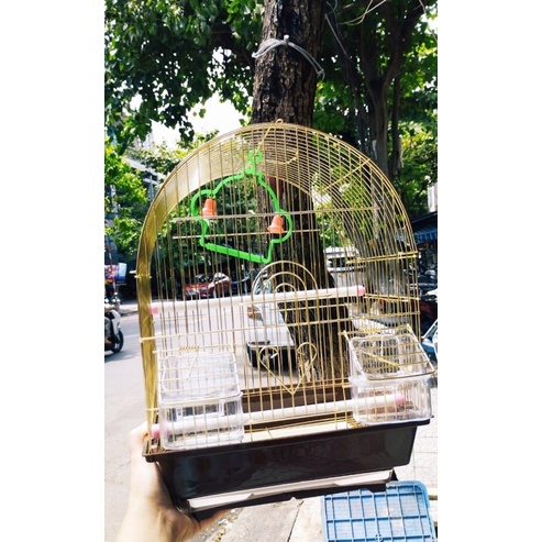 LỒNG CHIM SẮT TÀU MÀU MẠ VÀNG 979AG