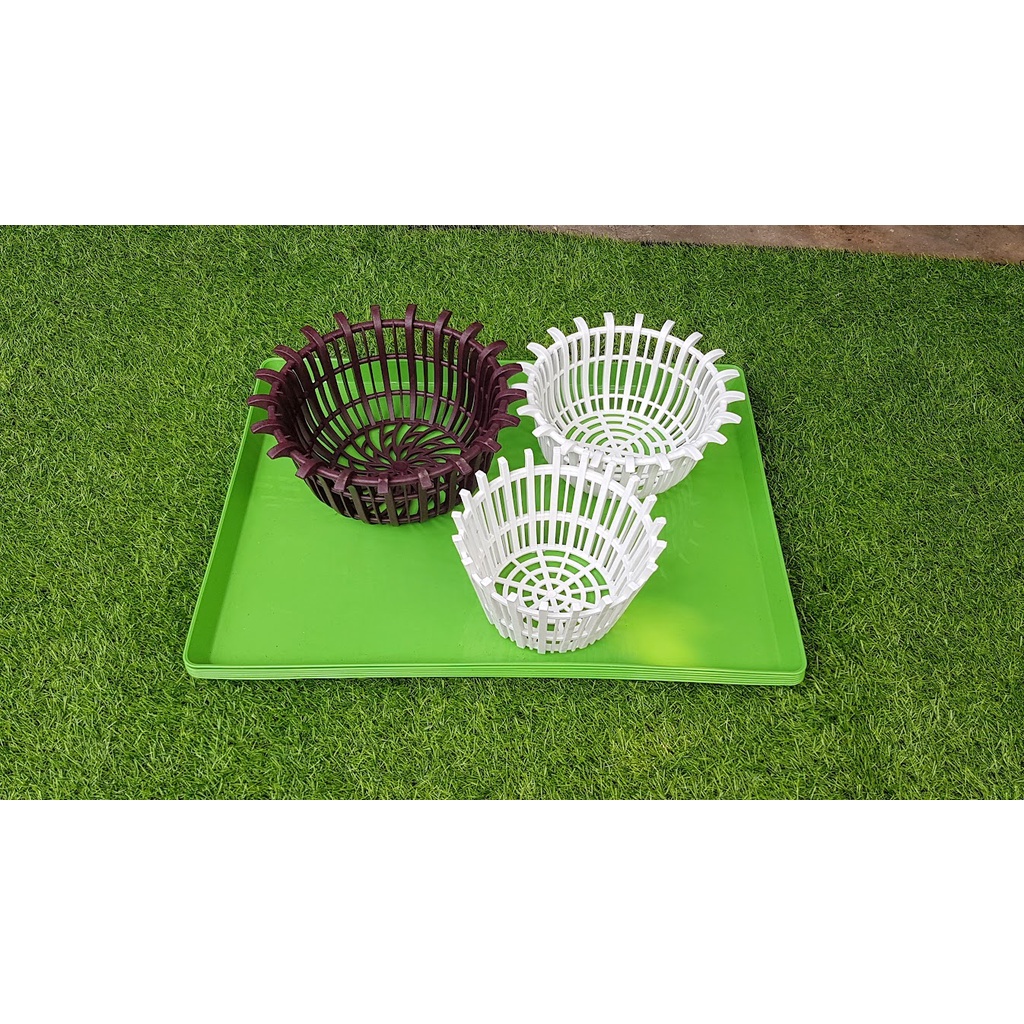 Combo 10 khay xanh 45-60-3cm đựng nước trồng lan ươm giống Và lót chuồng thú cưng