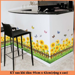 Decal chân tường hoa cúc - SK706057- thaomivi