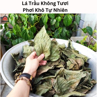 Lá trầu không khô, xông vùng kín, se khít cô bé sau sinh, phơi khô tự nhiên. 4kg lá trầu không tươi = 1kg lá trầu khô.