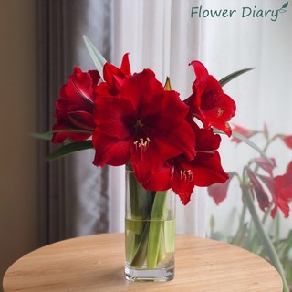 Bình cắm hoa thuỷ tinh trụ vuông 10x20cm