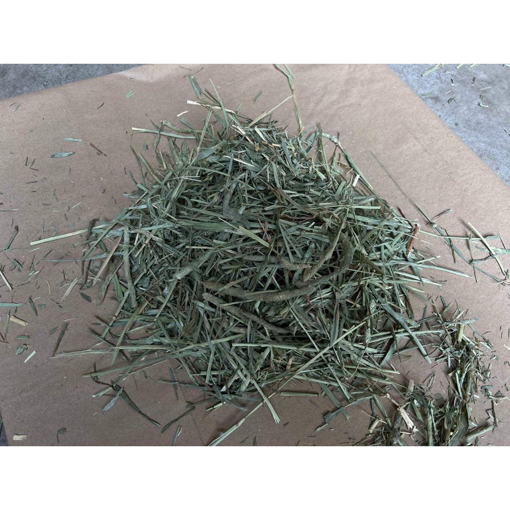 3 ký Cỏ Timothy cho thỏ,bọ ú trên 6 tháng tuổi .