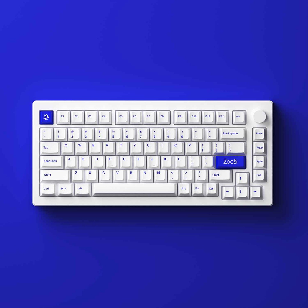 Bàn Phím Cơ Có Dây - Akko MOD007 PC Blue on White | AKKO CS Switch – Piano