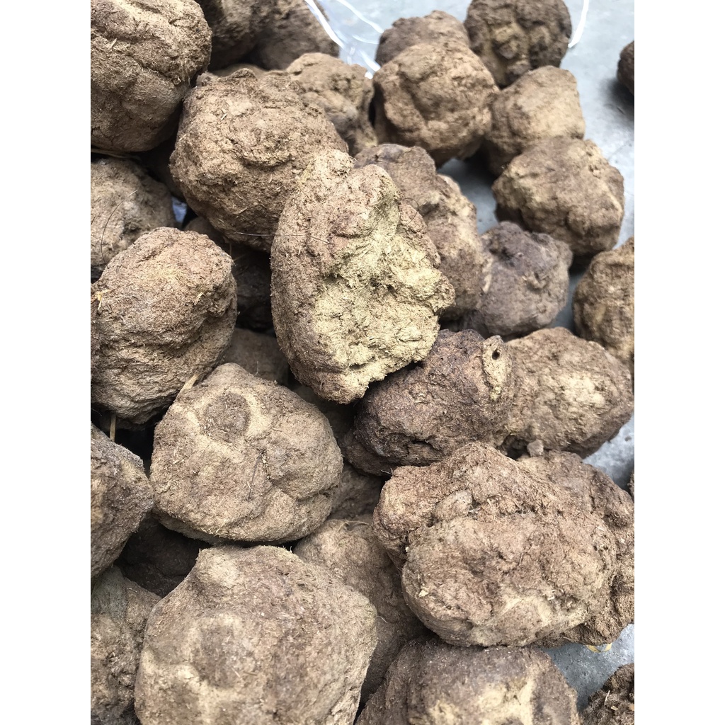 Phân bò khô nguyên chất đã xử lý, cam kết không pha tạp chất