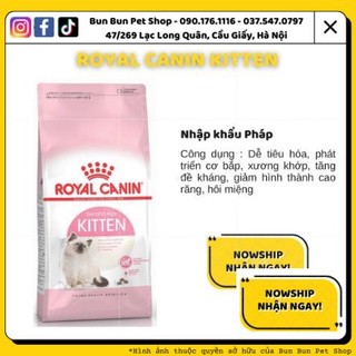Hạt khô cho mèo con Royal Canin Kitten